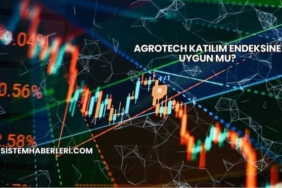 Agrotech Katılım Endeksine Uygun mu?