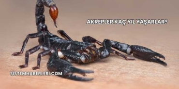 Akrepler Kaç Yıl Yaşarlar?