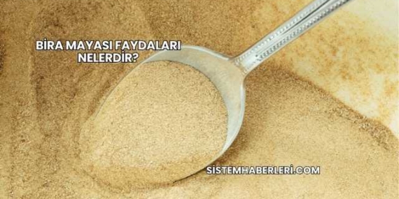 Bira Mayası Faydaları Nelerdir?