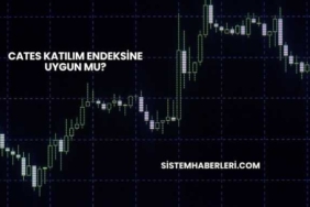 Cates Katılım Endeksine Uygun mu?