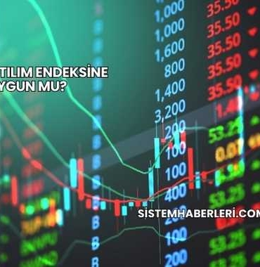 Dmr Katılım Endeksine Uygun mu?
