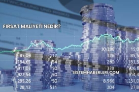 Fırsat Maliyeti Nedir?
