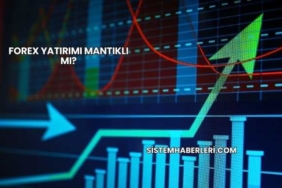 Forex Yatırımı Mantıklı mı?