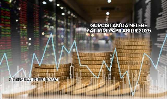 Gürcistan'da Nelere Yatırım Yapılabilir 2025