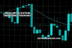 Mega Metal Katılım Endeksine Uygun mu?