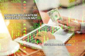 Mogan Enerji Katılım Endeksine Uygun mu?