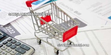 Satışların Maliyeti 2025