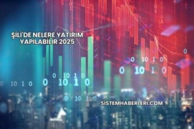 Şili'de Nelere Yatırım Yapılabilir 2025
