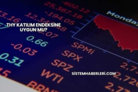 THY Katılım Endeksine Uygun mu?