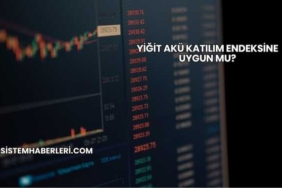 Yiğit Akü Katılım Endeksine Uygun mu?