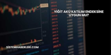 Yiğit Akü Katılım Endeksine Uygun mu?