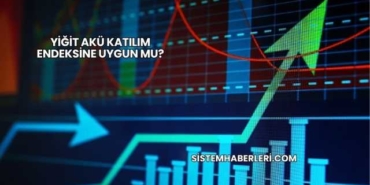 Yiğit Akü Katılım Endeksine Uygun mu?
